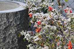 winter-2016-023-brunnen-blog